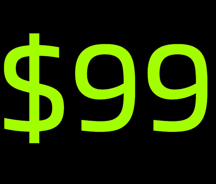 $99 business strategy call graphic for The Masked Coach™ brand